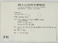 登錄號:F0010230藏品圖，第2張