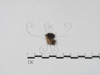 登錄號:F0010230藏品圖，第1張