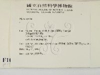 登錄號:F0010231藏品圖，第2張
