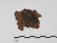 登錄號:F0010231藏品圖，第1張