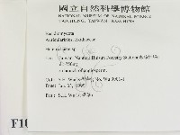 刺皮菌屬藏品圖，第2張