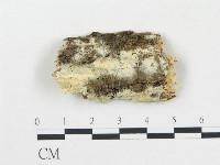 登錄號:F0010234藏品圖，第1張
