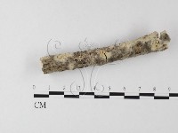 登錄號:F0010235藏品圖，第3張