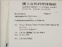 登錄號:F0010237藏品圖，第2張