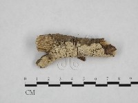 登錄號:F0010237藏品圖，第1張