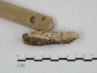 登錄號:F0010237藏品圖，第3張