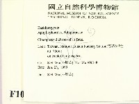 登錄號:F0010240藏品圖，第2張