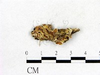 登錄號:F0010240藏品圖，第1張