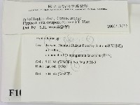 登錄號:F0010241藏品圖，第2張