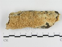 登錄號:F0010242藏品圖，第1張
