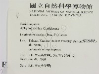 登錄號:F0010243藏品圖，第2張