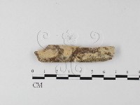 登錄號:F0010244藏品圖，第1張