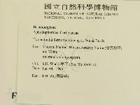 登錄號:F0010245藏品圖，第2張