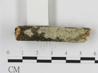 登錄號:F0010245藏品圖，第1張