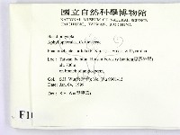 登錄號:F0010246藏品圖，第2張