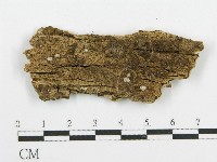 登錄號:F0010247藏品圖，第3張