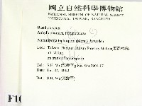 登錄號:F0010248藏品圖，第2張