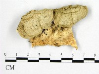 登錄號:F0010249藏品圖，第1張