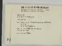 登錄號:F0010251藏品圖，第2張