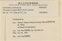 登錄號:F0010251藏品圖，第3張