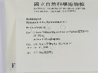 刺革菌屬藏品圖，第2張