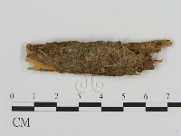 登錄號:F0010254藏品圖，第1張