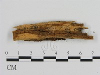 登錄號:F0010254藏品圖，第3張