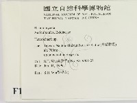 刺皮菌屬藏品圖，第2張