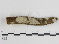 登錄號:F0010258藏品圖，第1張