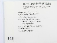 裂褶菌藏品圖，第2張