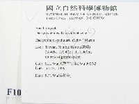 登錄號:F0010260藏品圖，第2張