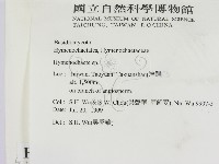 刺革菌屬藏品圖，第2張