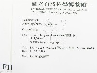 登錄號:F0010265藏品圖，第2張