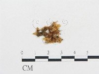 登錄號:F0010265藏品圖，第1張