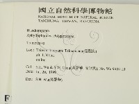 栓菌屬藏品圖，第2張