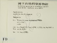 栓菌屬藏品圖，第2張