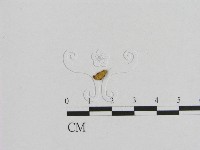 登錄號:F0010268藏品圖，第1張