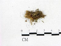 登錄號:F0010270藏品圖，第3張