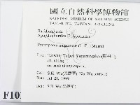 血紅密孔菌藏品圖，第2張