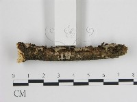 登錄號:F0010273藏品圖，第1張