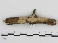 登錄號:F0010275藏品圖，第1張