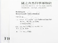 木層孔菌屬藏品圖，第2張