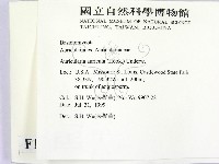 登錄號:F0010278藏品圖，第2張