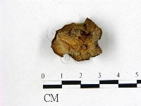 登錄號:F0010278藏品圖，第3張