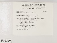 登錄號:F0010279藏品圖，第2張