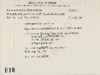 登錄號:F0010280藏品圖，第2張