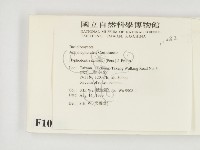 冇骨消絲齒菌藏品圖，第2張