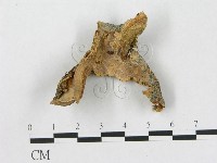 登錄號:F0010284藏品圖，第1張