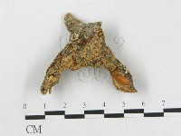 登錄號:F0010284藏品圖，第3張