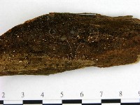 登錄號:F0010286藏品圖，第3張